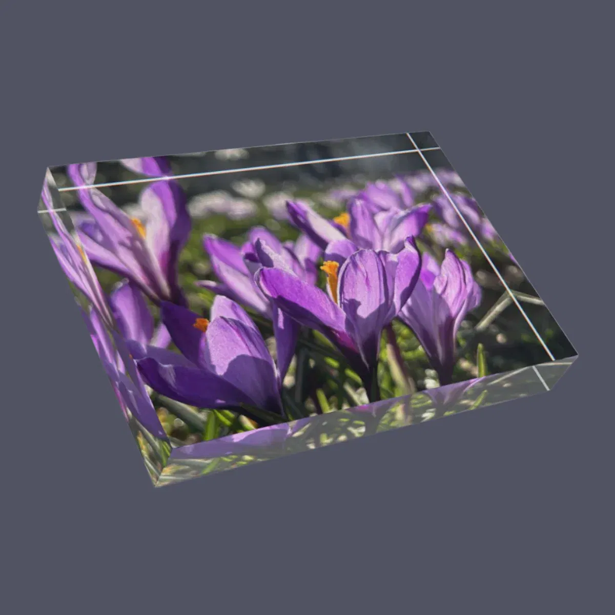 Acrylic Photo Blocks