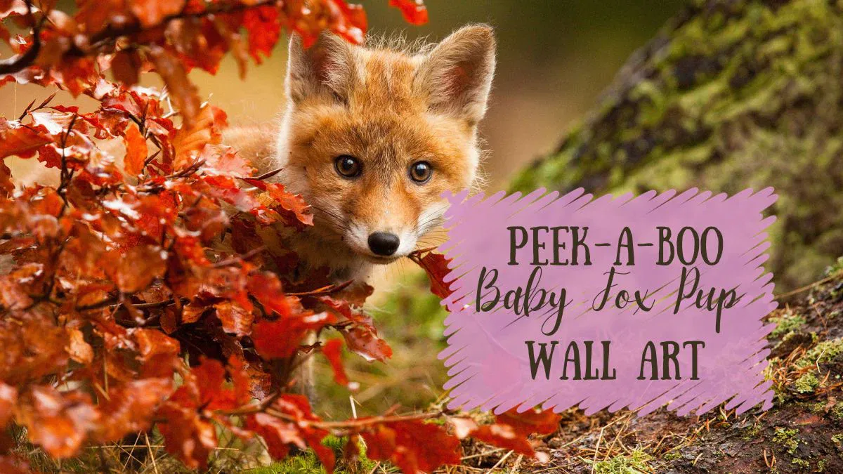 The Ultimate Nursery Decor: Peek-A-Boo Baby Fox Pup Canvas!